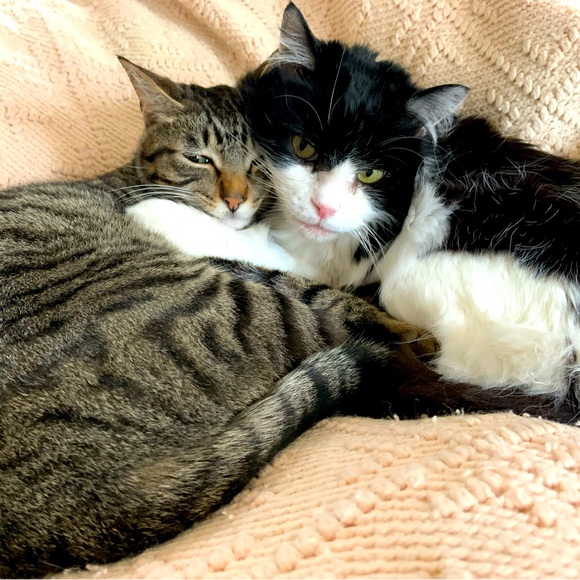 Bundle and save! - Picture 1 of 1